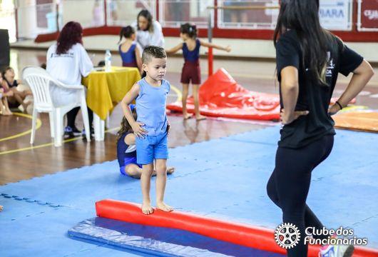 Descrição da Imagem 1