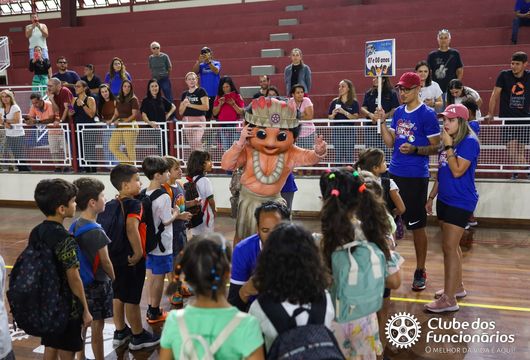 Descrição da Imagem 1