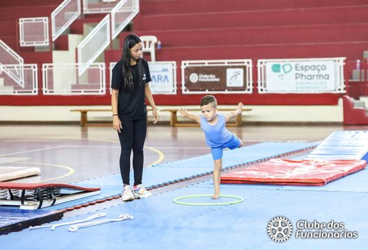 Descrição da Imagem 1