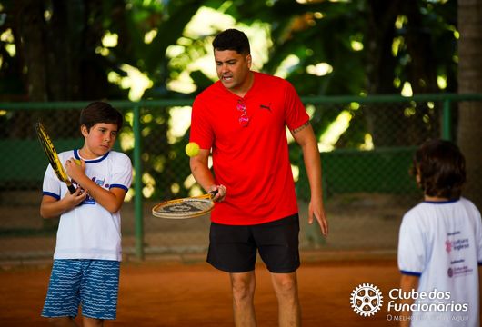 Descrição da Imagem 1