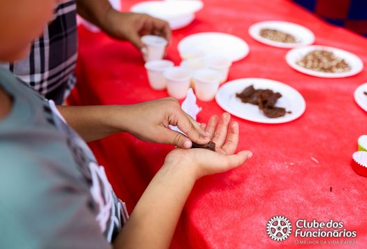 Descrição da Imagem 1