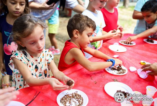 Descrição da Imagem 1