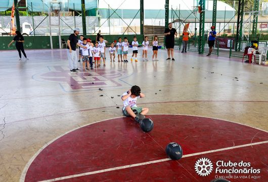 Descrição da Imagem 1