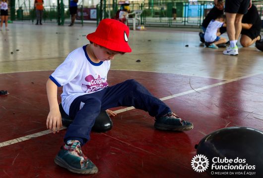 Descrição da Imagem 1