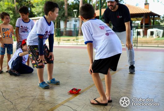 Descrição da Imagem 1