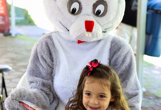 Descrição da Imagem 1