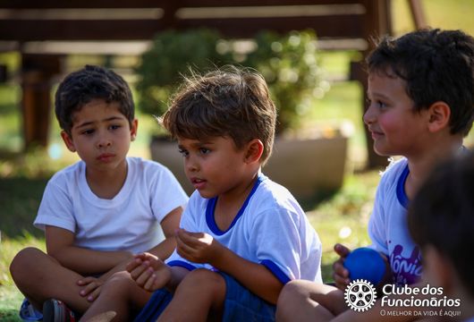 Descrição da Imagem 1