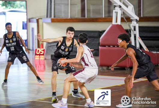 Descrição da Imagem 1