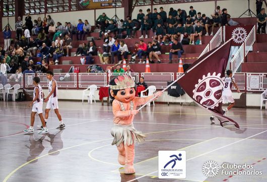 Descrição da Imagem 1