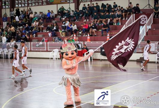 Descrição da Imagem 1