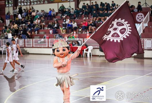 Descrição da Imagem 1