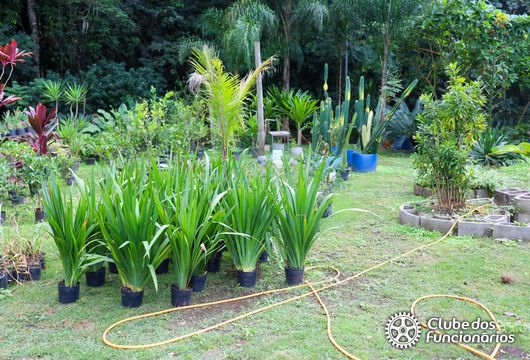 Descrição da Imagem 1