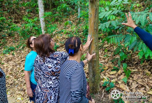 Descrição da Imagem 1