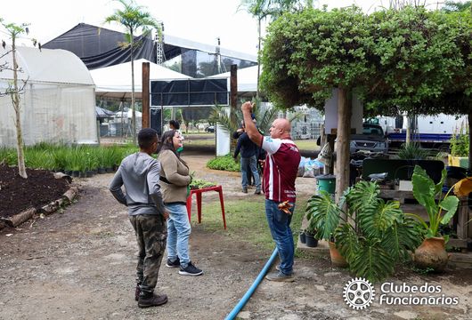 Descrição da Imagem 1