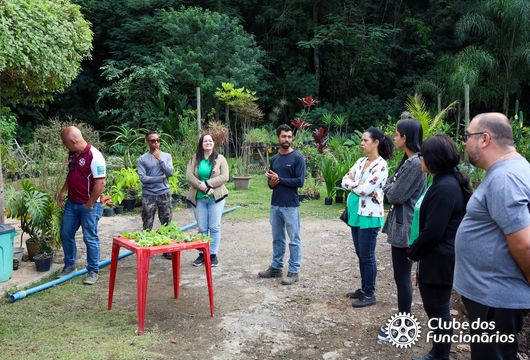 Descrição da Imagem 1