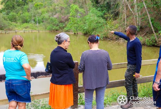 Descrição da Imagem 1