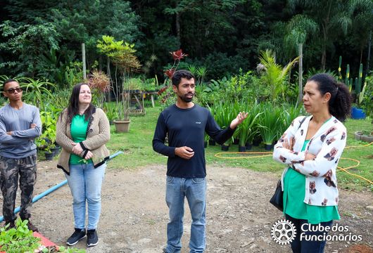 Descrição da Imagem 1