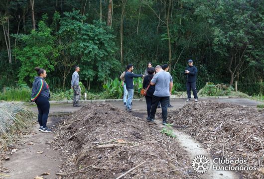 Descrição da Imagem 1