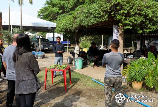 Descrição da Imagem 1