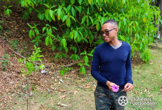 Descrição da Imagem 1