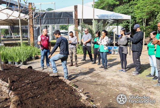 Descrição da Imagem 1