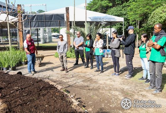 Descrição da Imagem 1