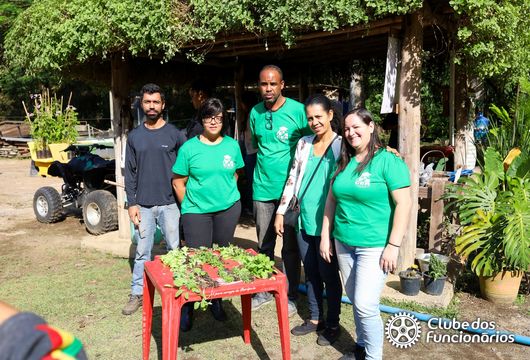 Descrição da Imagem 1