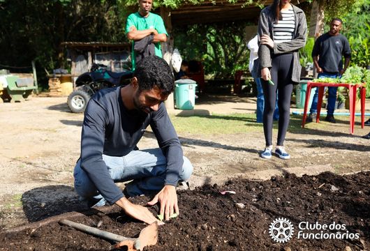 Descrição da Imagem 1