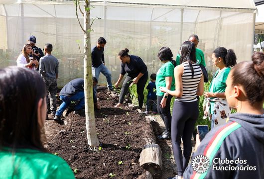 Descrição da Imagem 1