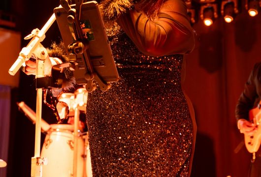 Descrição da Imagem 1