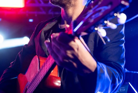 Descrição da Imagem 1