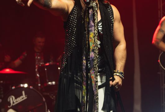 Descrição da Imagem 1