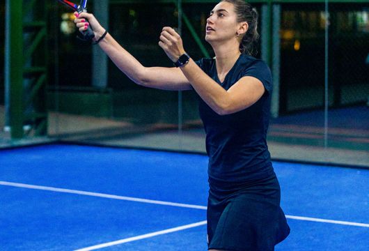 Descrição da Imagem 1