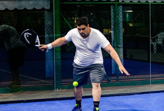 Descrição da Imagem 1