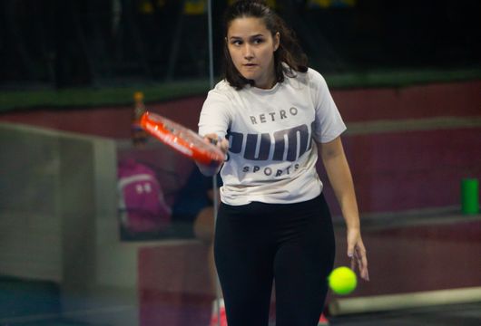 Descrição da Imagem 1