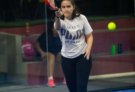 Descrição da Imagem 1