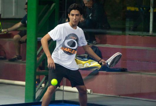 Descrição da Imagem 1