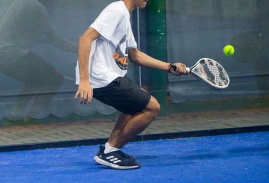 Descrição da Imagem 1