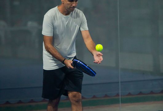 Descrição da Imagem 1